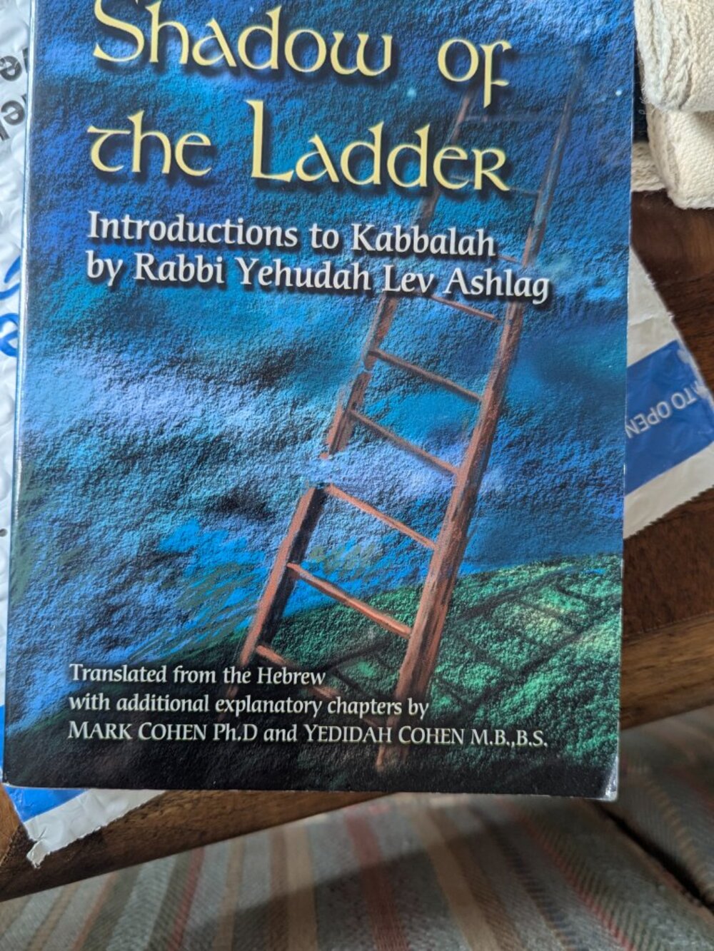 In the Shadow of the Ladder : Introductions to Kabbalah by Rabbi Yehudah Lev...